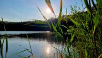 Erholungsort inmitten der Natur | Campingplatz am Sassenpfuhl e.V.